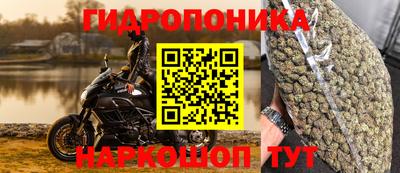 ALPHA PVP Кунгур