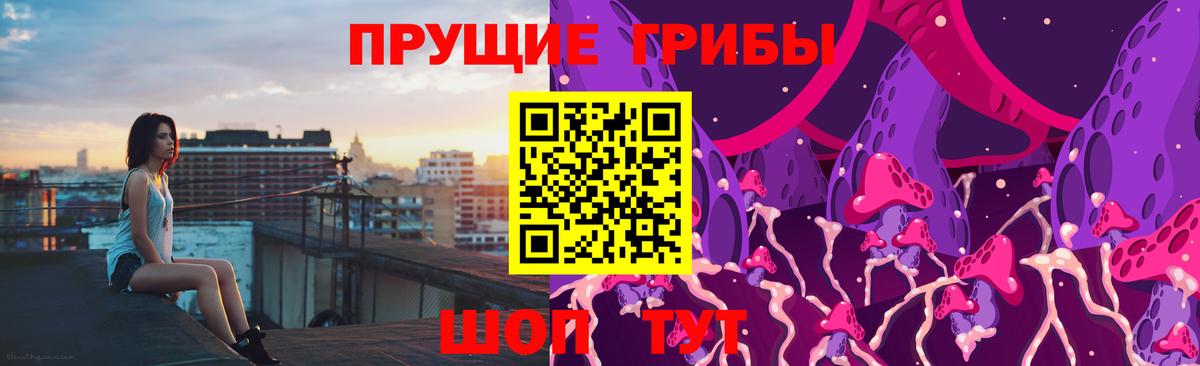 Йошкар-Ола  Галлюциногенные грибы Psilocybe  Вход с VPN 